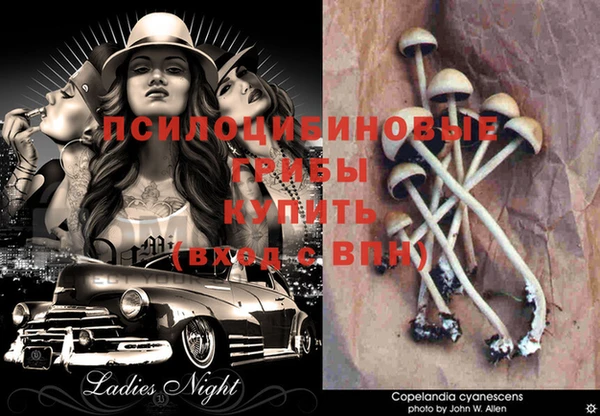 альфа пвп Лихославль